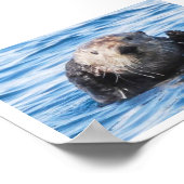Zee Otter Poster (Hoek)