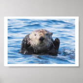 Zee Otter Poster (Voorkant)