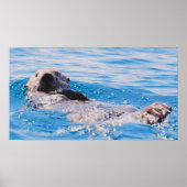Zee Otter Poster (Voorkant)