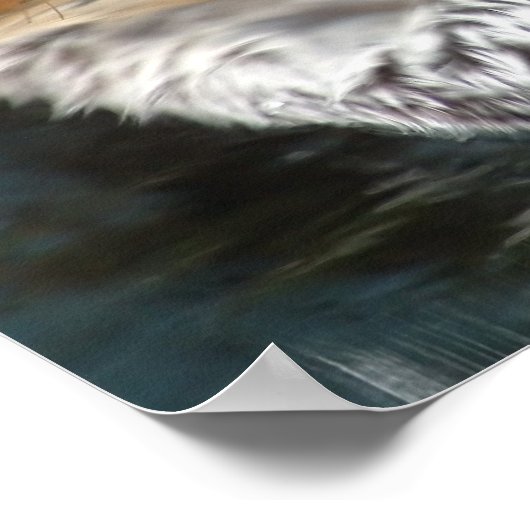 Zee otter Poster afdrukken (Hoek)