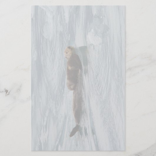 zee otter & pup briefpapier (Voorkant)