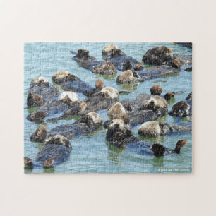 Zee Otter Raft Jigzaag Puzzle #2 Legpuzzel