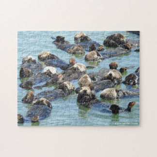 Zee Otter Raft Jigzaag Puzzle #2 Legpuzzel
