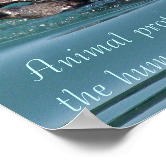 Zee otter Reflection met het Beeldende poster van (Hoek)