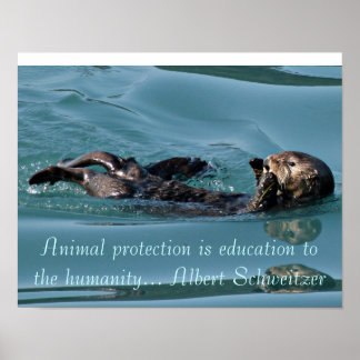 Zee otter Reflection met het Beeldende poster van 