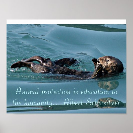 Zee otter Reflection met het Beeldende poster van  (Voorkant)
