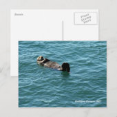 Zee otter slapen briefkaart (Voorkant / Achterkant)