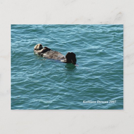 Zee otter slapen briefkaart (Voorkant)