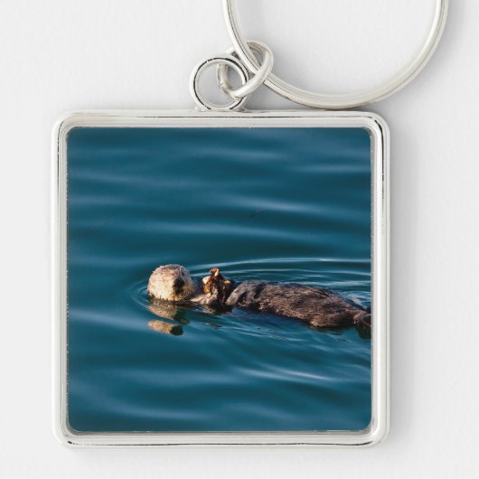 Zee Otter Sleutelhanger (Voorkant)