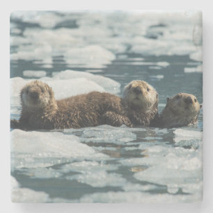 Zee Otter Stenen Onderzetter
