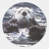 Zee Otter Stickers (Voorkant)