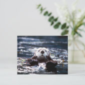 Zee Otter Swimming Briefkaart (Staand voorkant)