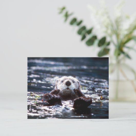 Zee Otter Swimming Briefkaart (Staand voorkant)