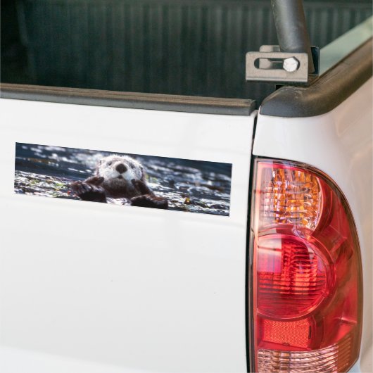 Zee Otter Swimming Bumpersticker (Op Truck)