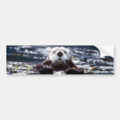 Zee Otter Swimming Bumpersticker (Voorkant)