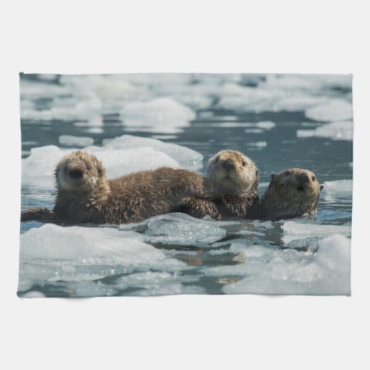 Zee Otter Theedoek (Horizontaal)