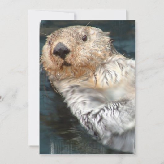 Zee Otter Uitnodiging (Voorkant)