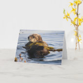 Zee Otter verpakt in Kelp Kaart (Gele Bloem)
