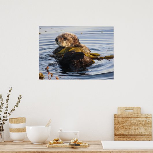 Zee Otter verpakt in Kelp Poster (Keuken)