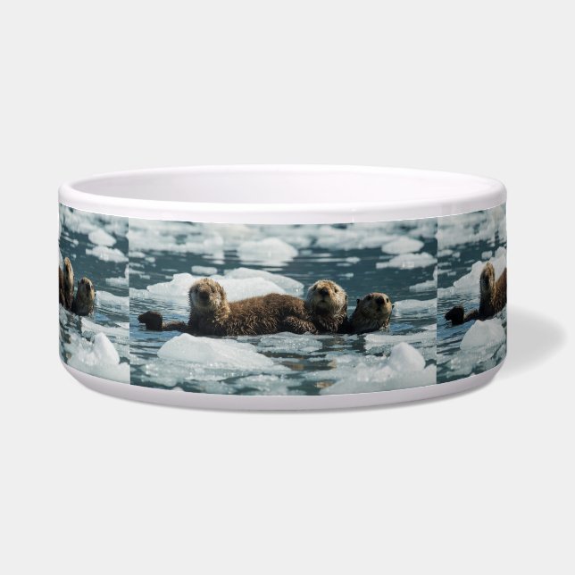 Zee Otter Voerbakje (Voorkant)