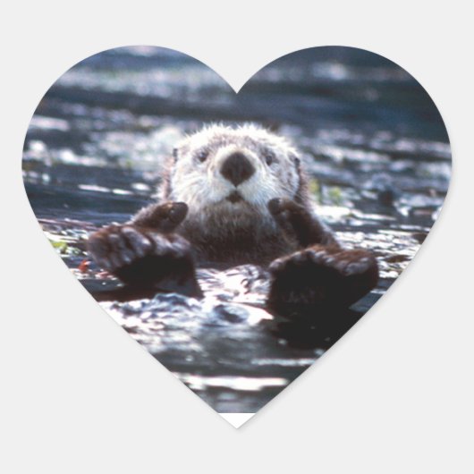 Zee otter zwemmen hart sticker (Voorkant)