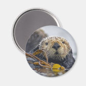 Zee ottermagneet magneet (Voorkant / Achterkant)