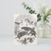  Zee Otters 1800s Otter Illustratie Briefkaart (Staand voorkant)