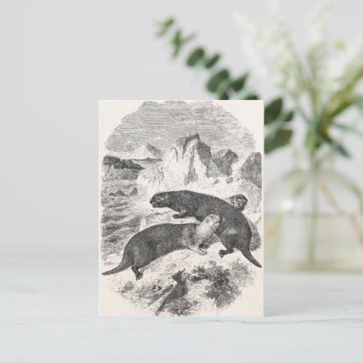  Zee Otters 1800s Otter Illustratie Briefkaart (Staand voorkant)