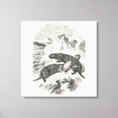  Zee otters 1800s otterillustratie Canvas Afdruk (Voorkant)