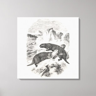 Zee otters 1800s otterillustratie Canvas Afdruk