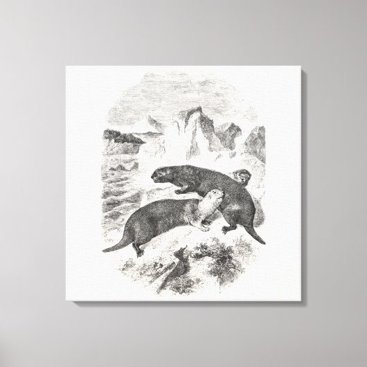  Zee otters 1800s otterillustratie Canvas Afdruk (Voorkant)