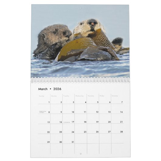 Zee Otters and Seals 2017 Wall Calendar - Wildlife Kalender (Mar 2026)