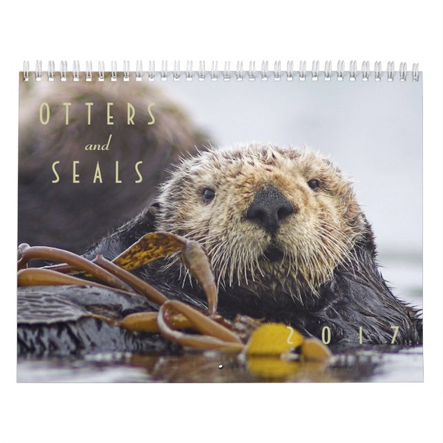 Zee Otters and Seals 2017 Wall Calendar - Wildlife Kalender (Hoes)