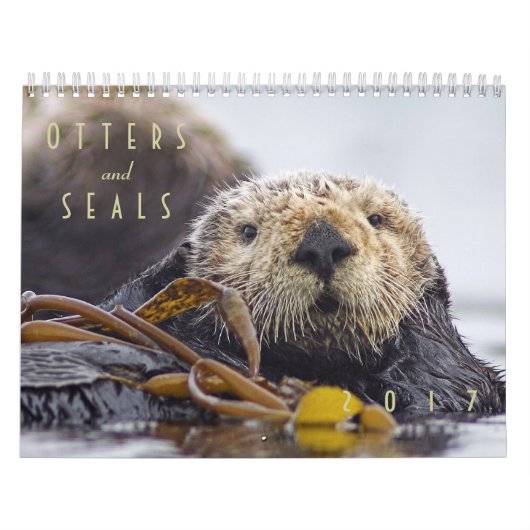 Zee Otters and Seals 2017 Wall Calendar - Wildlife Kalender (Hoes)