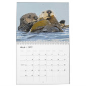 Zee Otters and Seals 2017 Wall Calendar - Wildlife Kalender (Mar 2027)
