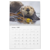 Zee Otters and Seals 2017 Wall Calendar - Wildlife Kalender (Jan 2027)