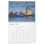 Zee Otters and Seals 2017 Wall Calendar - Wildlife Kalender (Feb 2027)