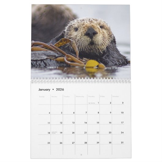 Zee Otters and Seals Wall Calendar 2015 - Wildlife Kalender (Jan 2026)