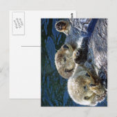 Zee-otters Briefkaart (Voorkant / Achterkant)