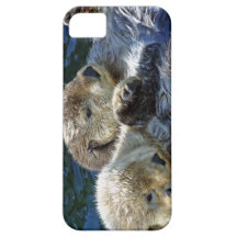 Zee-otters
