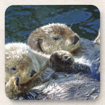 Zee-otters