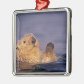 Zee Otters, Enhydra lutris 2 Metalen Ornament (Links)