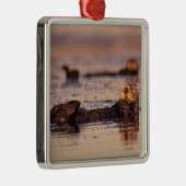 Zee Otters, Enhydra lutris 3 Metalen Ornament (Rechts)