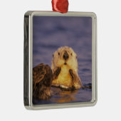 Zee Otters, Enhydra lutris 5 Metalen Ornament (Rechts)