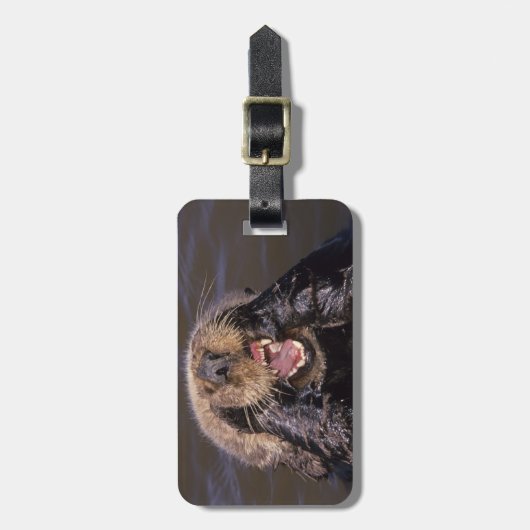 Zee Otters, Enhydra lutris 6 Bagagelabel (Voorkant verticaal)