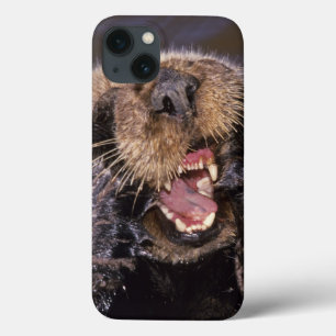 Zee Otters, Enhydra lutris 6 iPhone 13 Hoesje