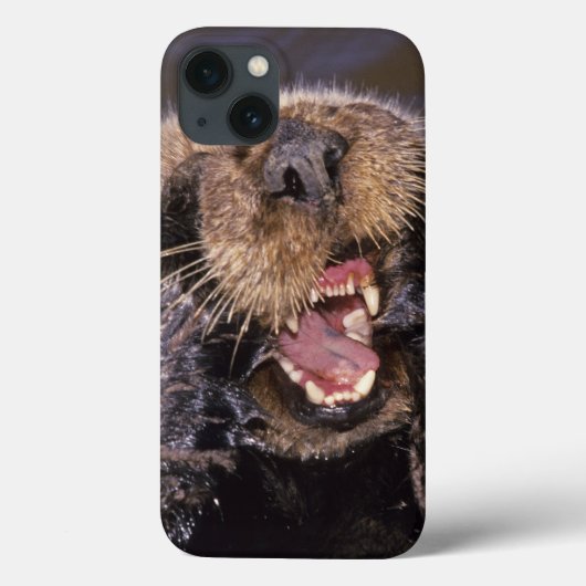 Zee Otters, Enhydra lutris 6 Case-Mate iPhone Case (Achterkant)