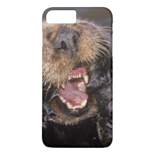 Zee Otters, Enhydra lutris 6 Case-Mate iPhone Case