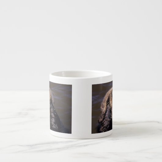 Zee Otters, Enhydra lutris 6 Espresso Kop (Voorkant)