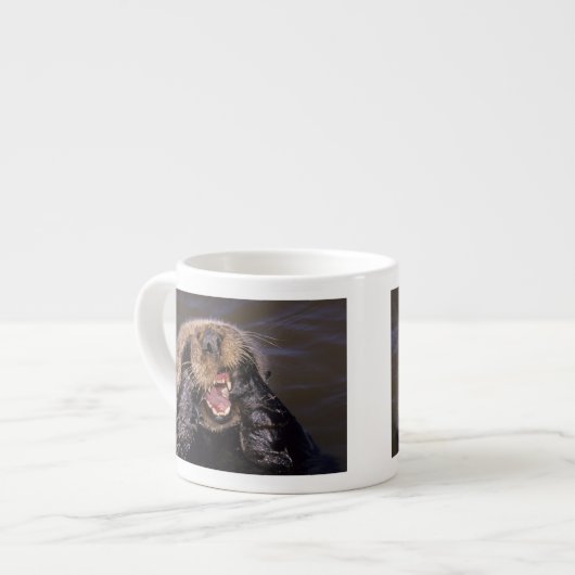 Zee Otters, Enhydra lutris 6 Espresso Kop (Links)